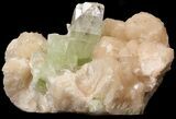 Zoned Apophyllite Crystals on Stilbite (Repaired) - India #44377-1